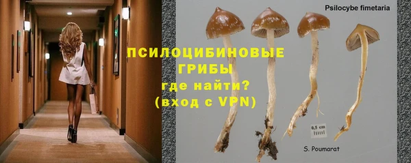 каннабис Нефтекумск