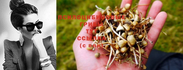 прущий лед Нея