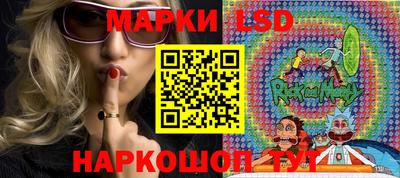 индика Заводоуковск