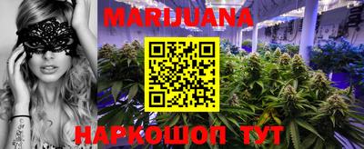 индика Беслан