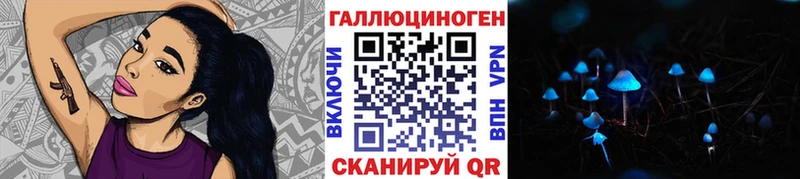 Галлюциногенные грибы Psilocybe  хочу   Таганрог 
